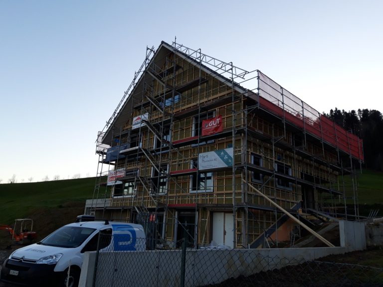 EFH Willmann, Januar 2020